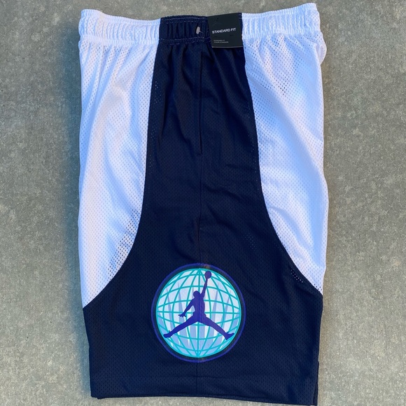 jordan retro 9 flight nostalgia shorts